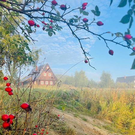 Chata Waliszów Nowy Waliszow Exterior foto