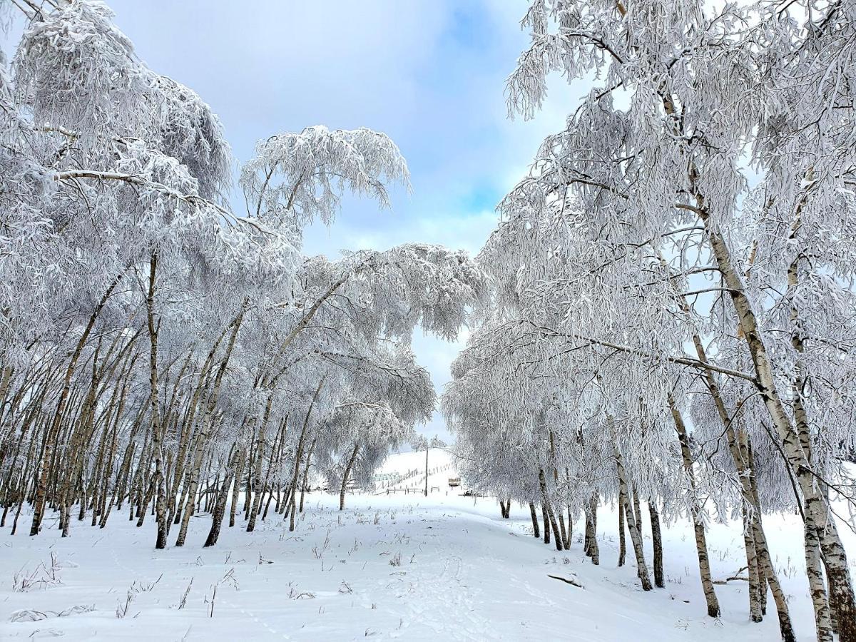 Chata Waliszów Nowy Waliszow Exterior foto