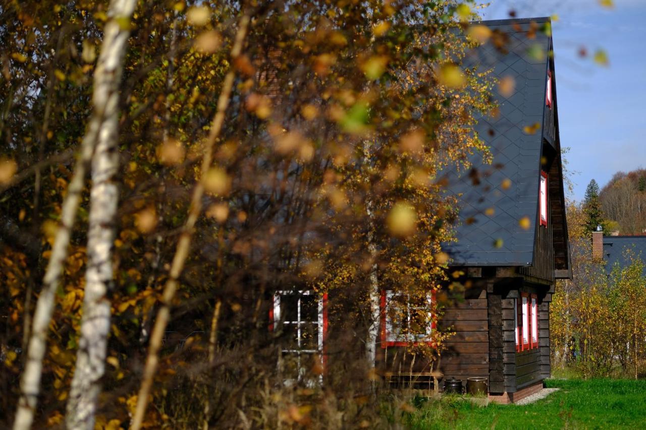 Chata Waliszów Nowy Waliszow Exterior foto